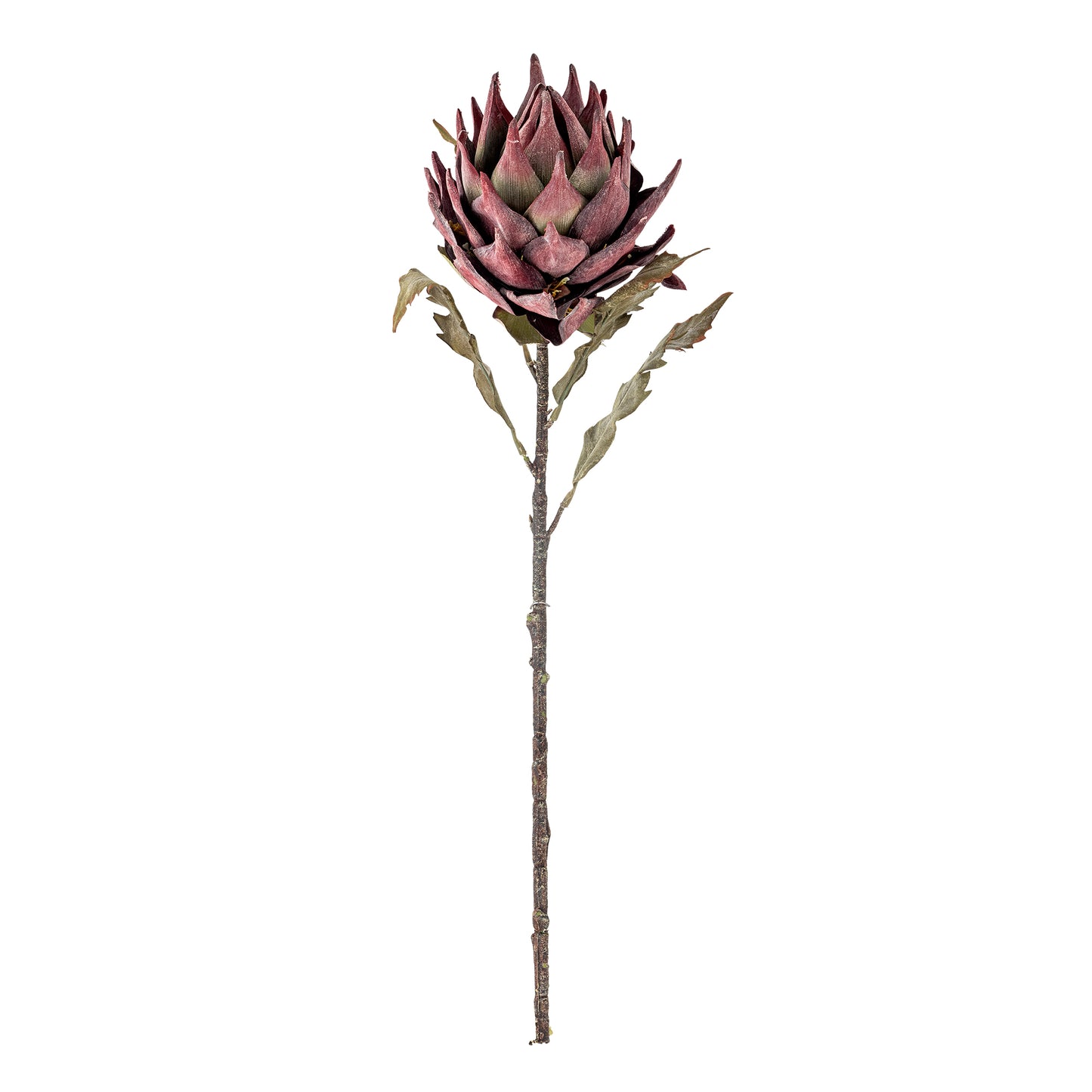 Protea Stilk, Lilla, Kunstige Blomster
