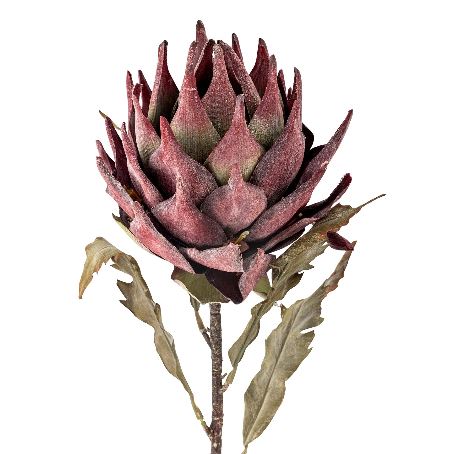 Protea Stilk, Lilla, Kunstige Blomster