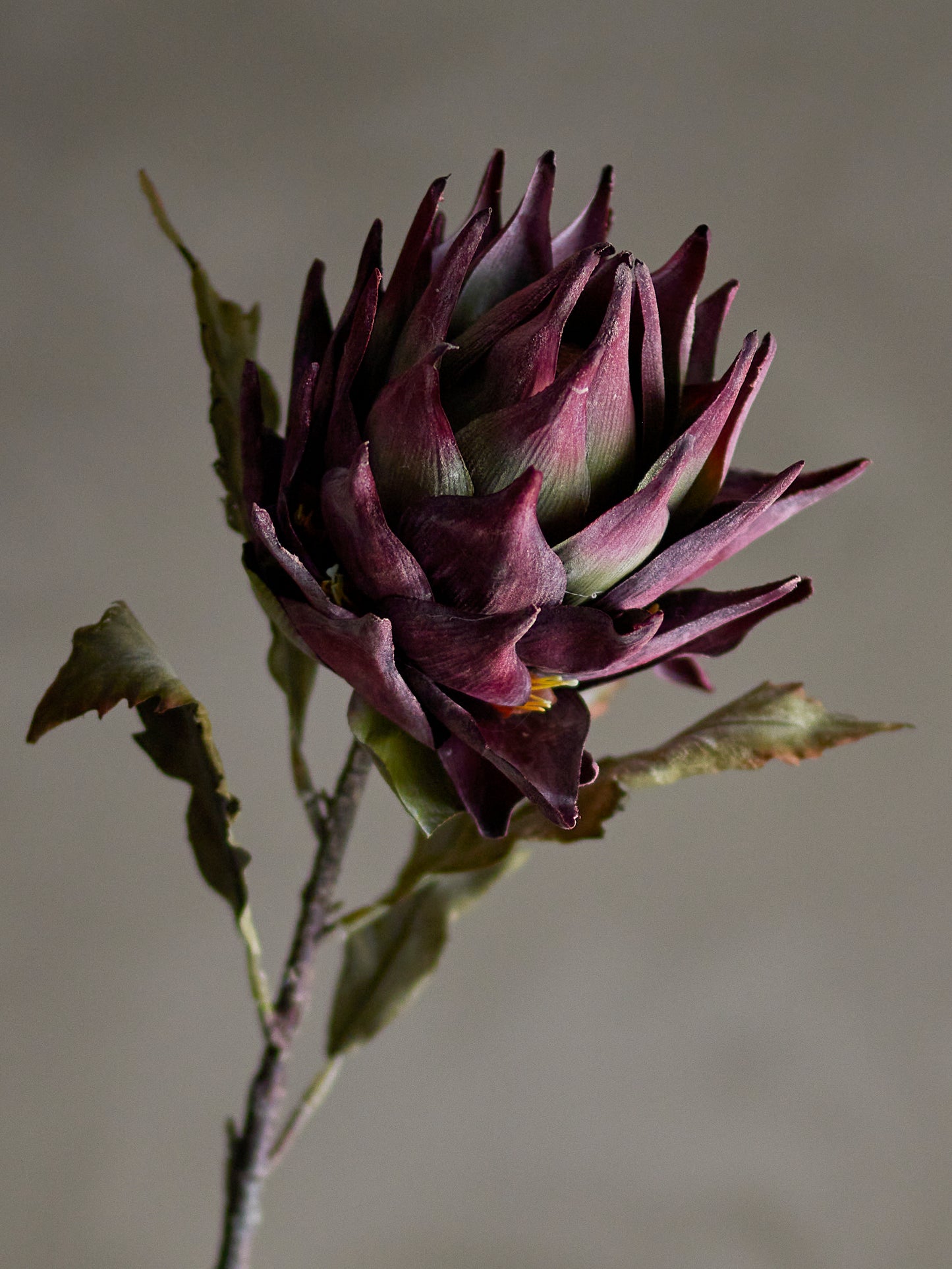 Protea Stilk, Lilla, Kunstige Blomster