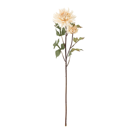 Chrysantemum Stilk, Natur, Kunstige Blomster